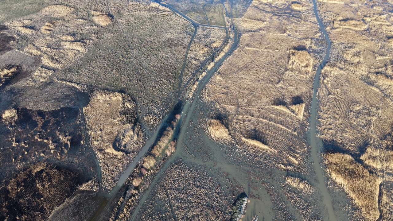 Konya’da kuraklığın vurduğu gölde yıllar sonra bir ilk yaşandı 4